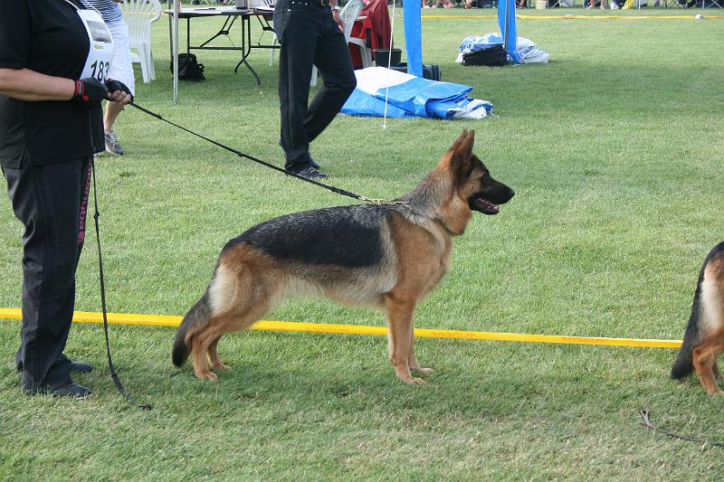 CENTA 037.jpg